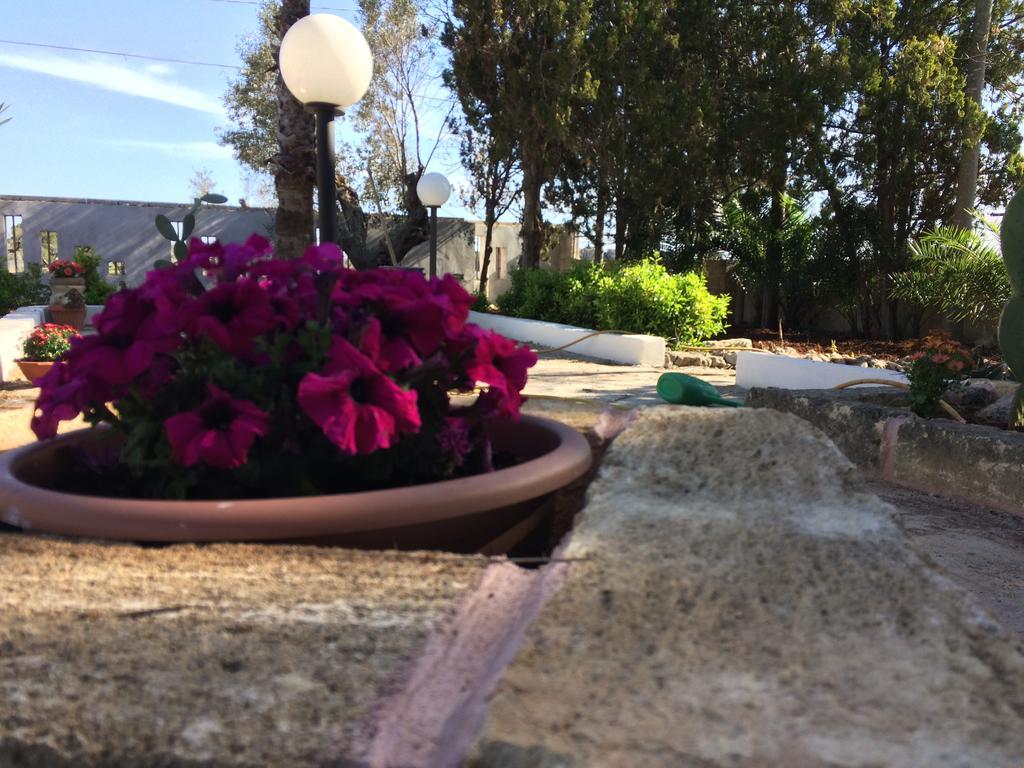B&B Masseria Nova Torre San Giovanni Buitenkant foto
